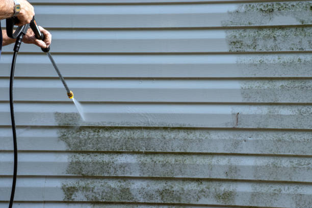 Best Shed Removal  in Trenton, TN